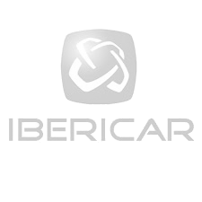 Ibericar trans grey